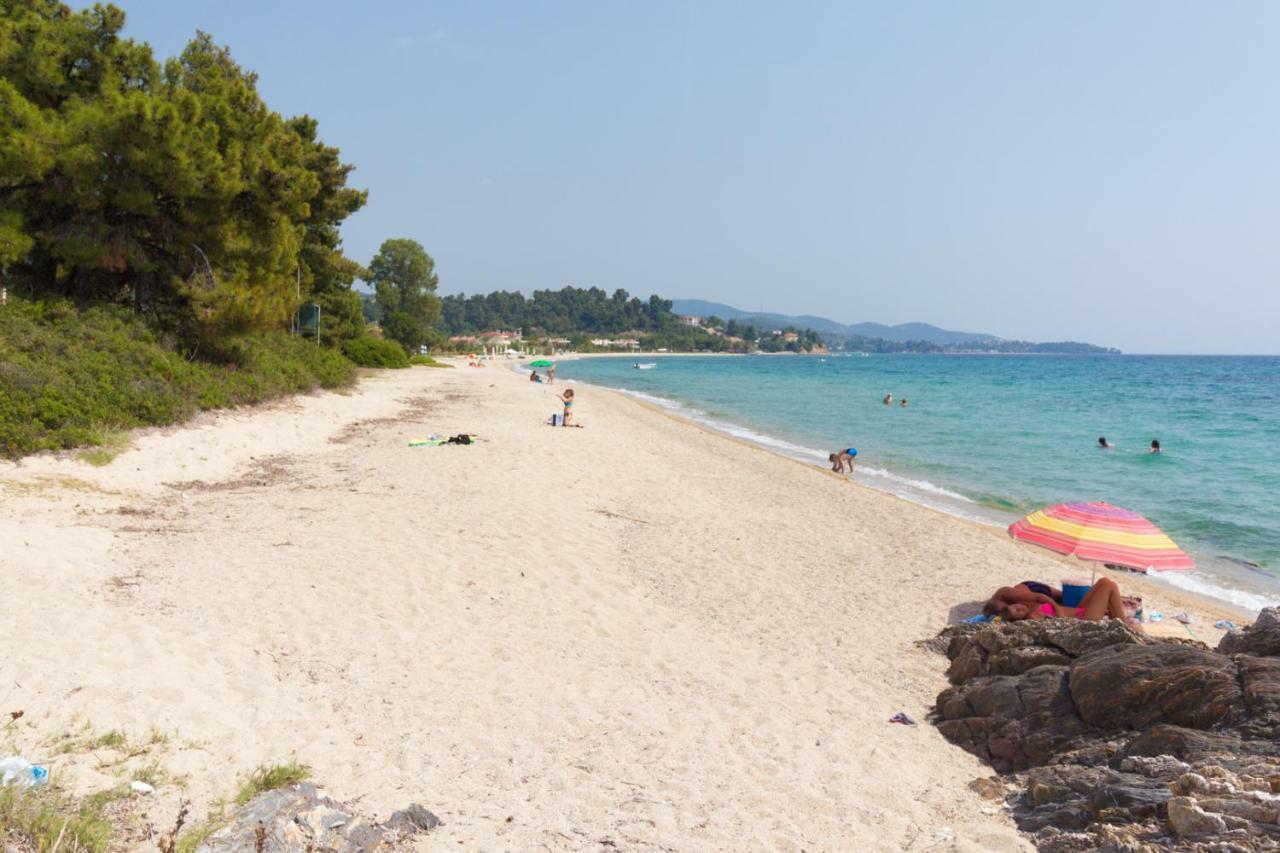 Akti Alegra Apartment Neos Marmaras Dış mekan fotoğraf